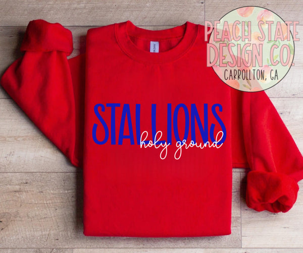 Holy Ground Stallions sweatshirt (New 2026)