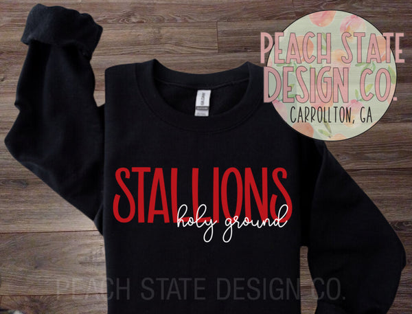 Holy Ground Stallions sweatshirt (New 2026)