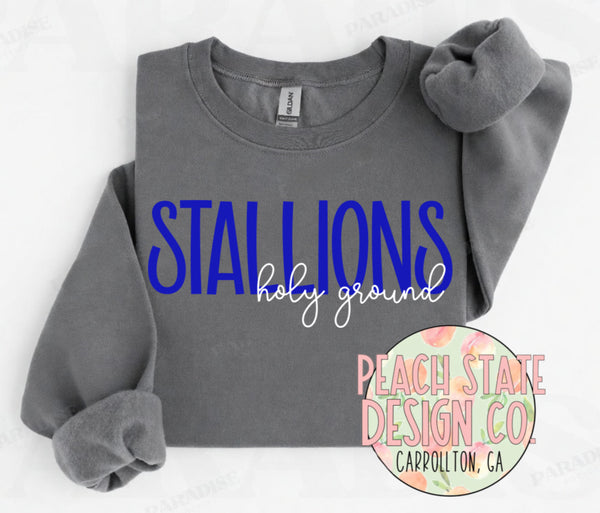 Holy Ground Stallions sweatshirt (New 2026)